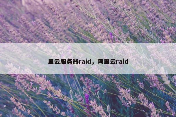 里云服务器raid，阿里云raid