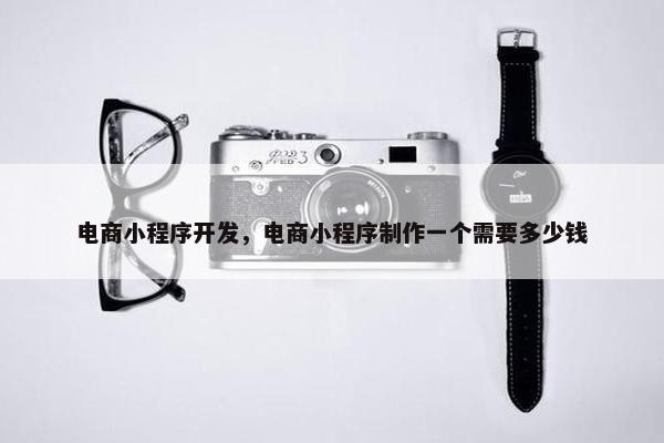 电商小程序开发，电商小程序制作一个需要多少钱