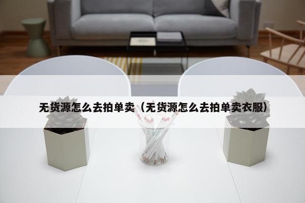 无货源怎么去拍单卖（无货源怎么去拍单卖衣服）
