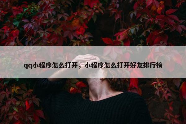 qq小程序怎么打开，小程序怎么打开好友排行榜