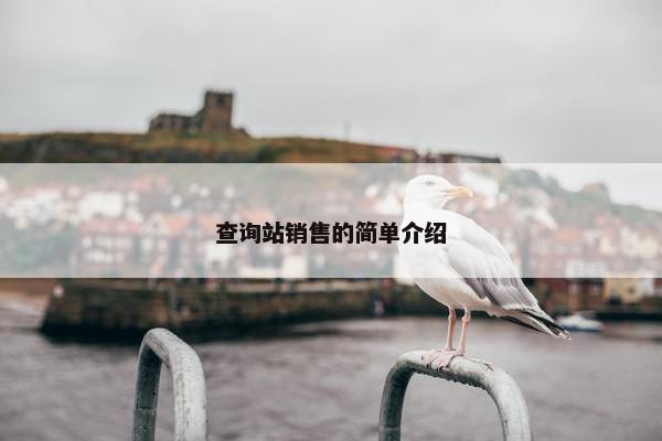 查询站销售的简单介绍