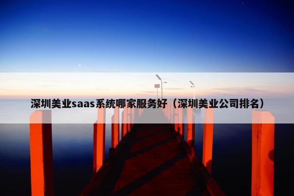 深圳美业saas系统哪家服务好（深圳美业公司排名）