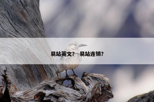 易站英文？ 易站连锁？