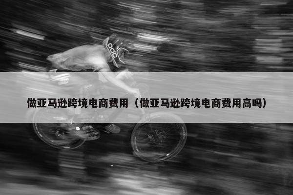 做亚马逊跨境电商费用（做亚马逊跨境电商费用高吗）
