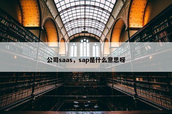 公司saas，sap是什么意思呀