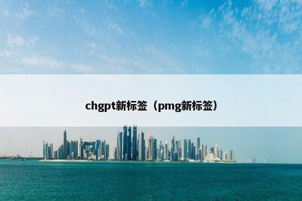 chgpt新标签（pmg新标签）