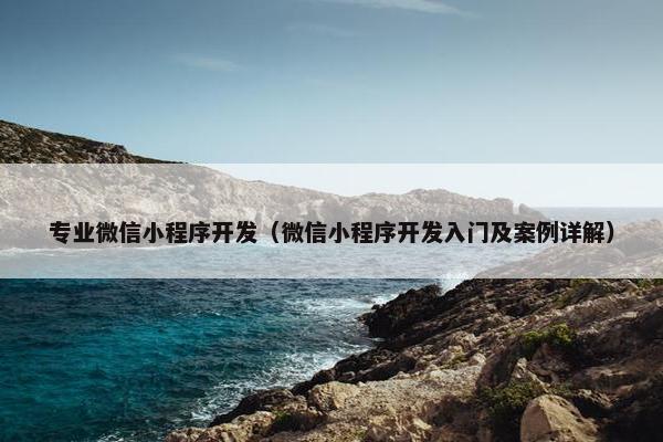 专业微信小程序开发（微信小程序开发入门及案例详解）