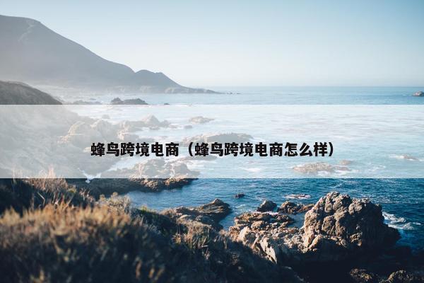 蜂鸟跨境电商（蜂鸟跨境电商怎么样）