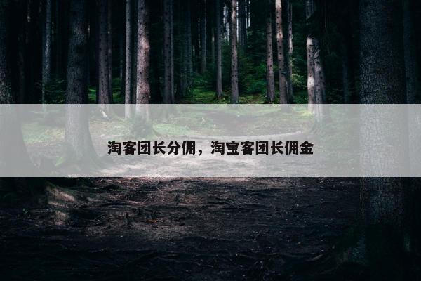 淘客团长分佣，淘宝客团长佣金