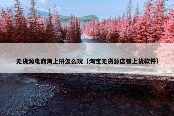 无货源电商淘上拼怎么玩（淘宝无货源店铺上货软件）