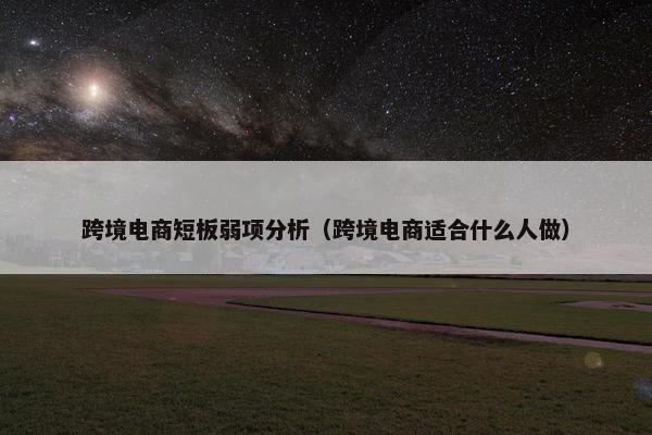 跨境电商短板弱项分析（跨境电商适合什么人做）