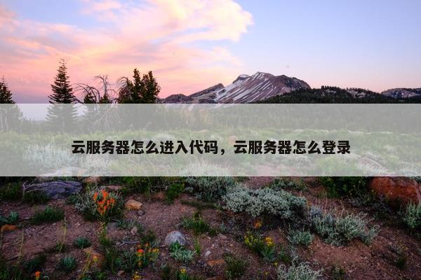 云服务器怎么进入代码，云服务器怎么登录