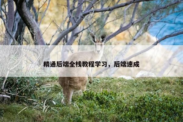 精通后端全栈教程学习，后端速成
