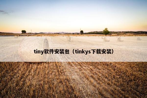 tiny软件安装包（tinkys下载安装）
