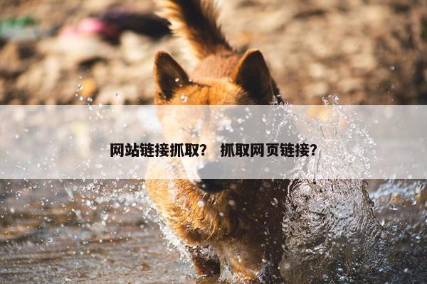 网站链接抓取？ 抓取网页链接？