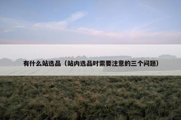 有什么站选品（站内选品时需要注意的三个问题）