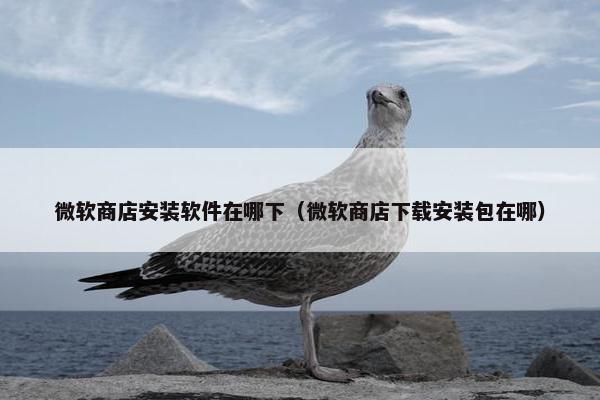 微软商店安装软件在哪下（微软商店下载安装包在哪）