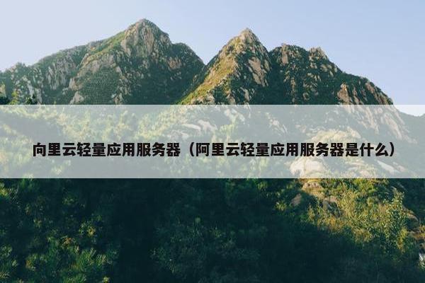 向里云轻量应用服务器（阿里云轻量应用服务器是什么）