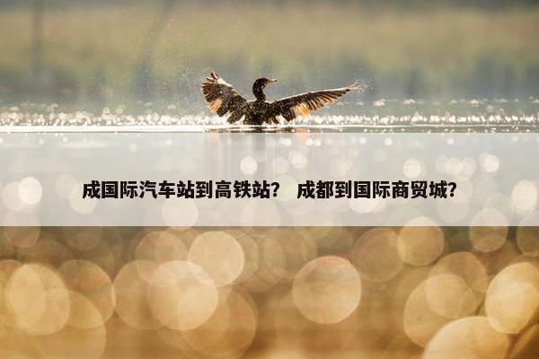 成国际汽车站到高铁站？ 成都到国际商贸城？