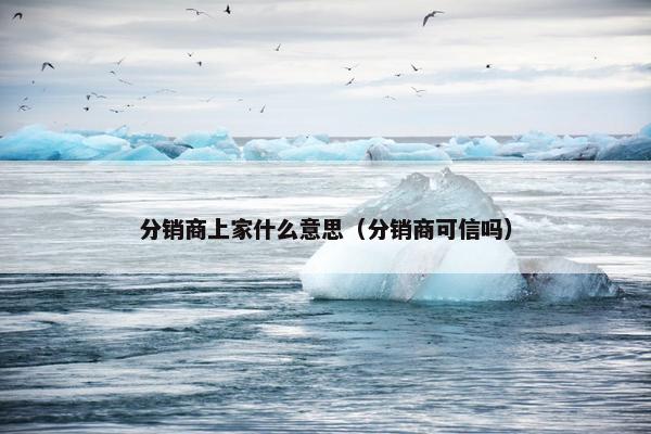 分销商上家什么意思（分销商可信吗）