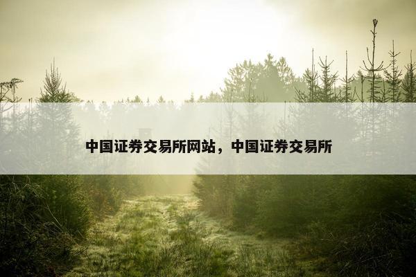 中国证券交易所网站，中国证券交易所