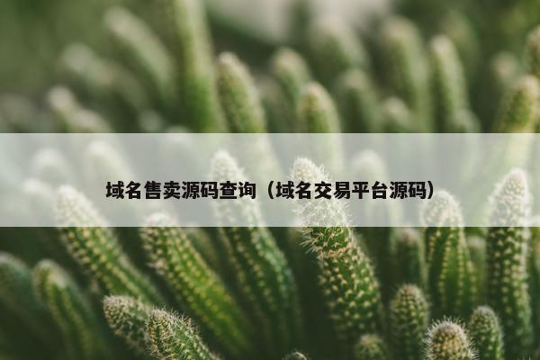 域名售卖源码查询（域名交易平台源码）