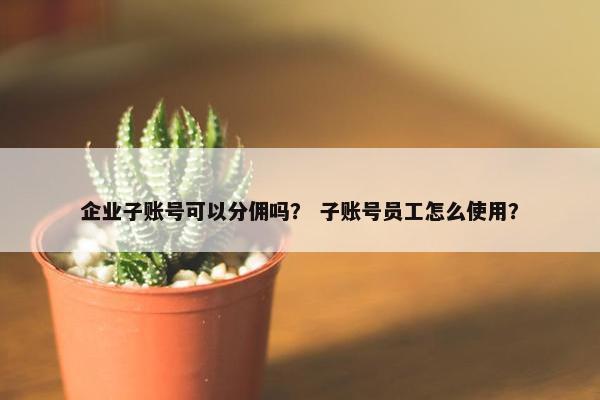 企业子账号可以分佣吗？ 子账号员工怎么使用？