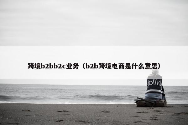 跨境b2bb2c业务（b2b跨境电商是什么意思）