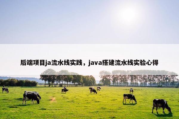 后端项目ja流水线实践，java搭建流水线实验心得