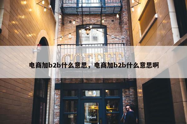 电商加b2b什么意思，电商加b2b什么意思啊