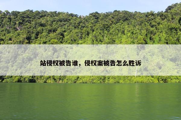 站侵权被告谁，侵权案被告怎么胜诉