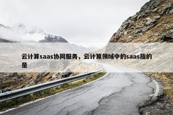 云计算saas协同服务，云计算领域中的saas指的是