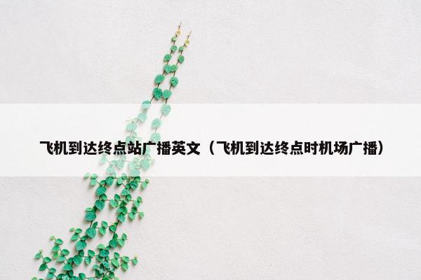 飞机到达终点站广播英文（飞机到达终点时机场广播）