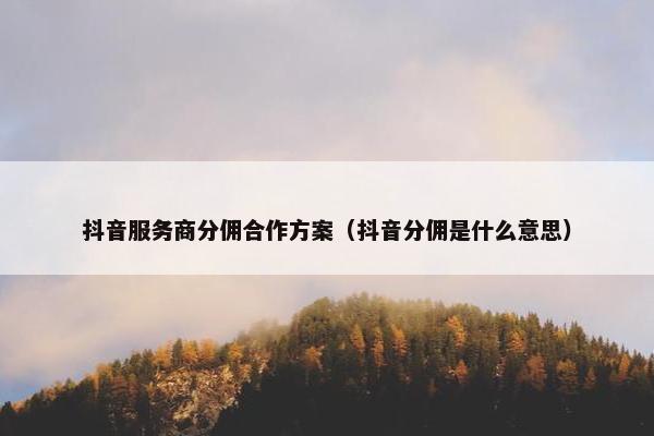 抖音服务商分佣合作方案（抖音分佣是什么意思）
