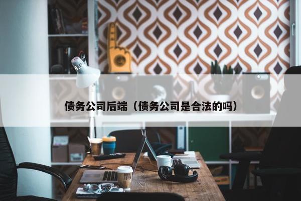债务公司后端（债务公司是合法的吗）