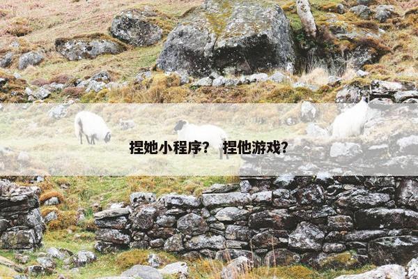 捏她小程序？ 捏他游戏？