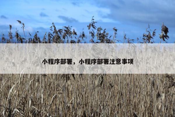 小程序部署，小程序部署注意事项