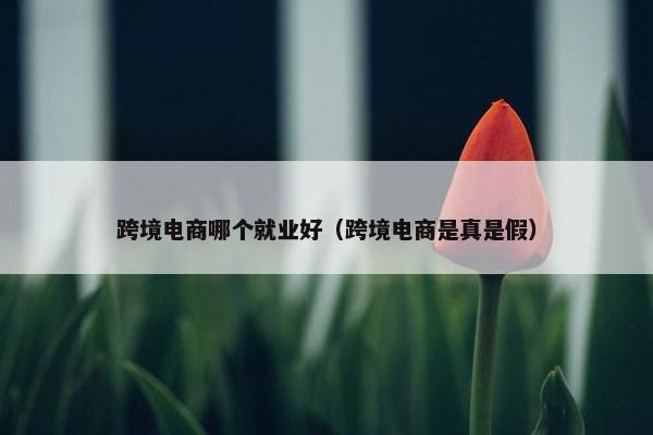 跨境电商哪个就业好（跨境电商是真是假）
