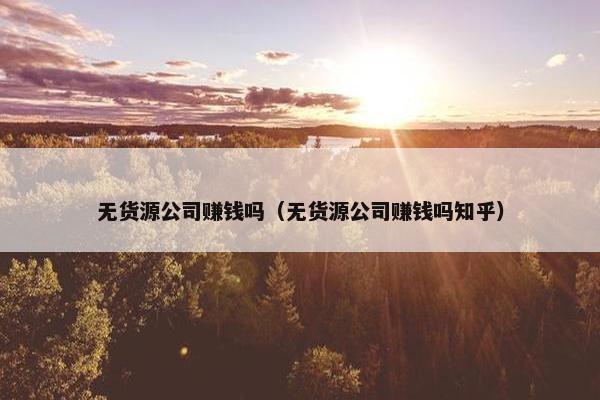 无货源公司赚钱吗（无货源公司赚钱吗知乎）