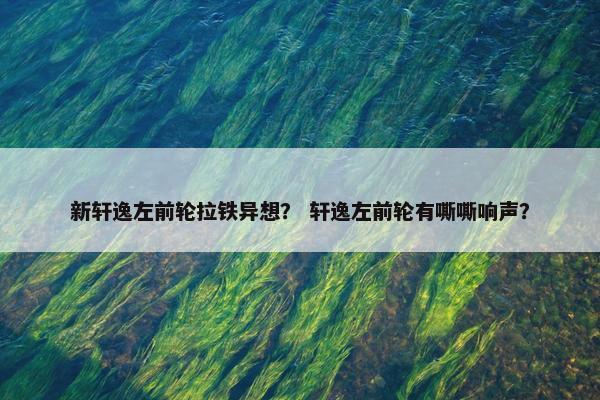 新轩逸左前轮拉铁异想？ 轩逸左前轮有嘶嘶响声？