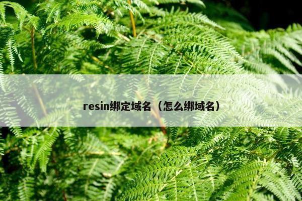 resin绑定域名（怎么绑域名）