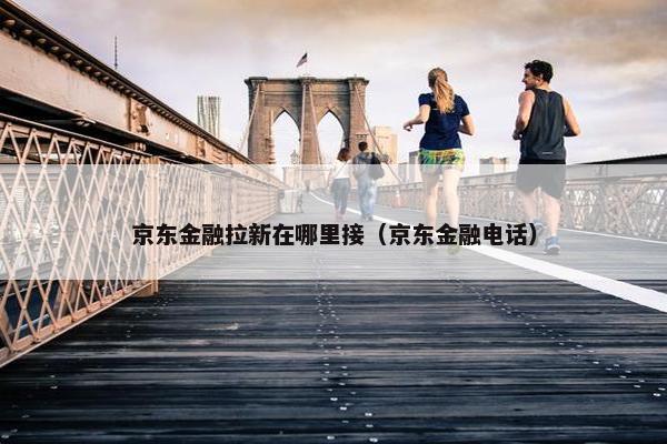 京东金融拉新在哪里接（京东金融电话）