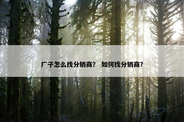厂子怎么找分销商？ 如何找分销商？