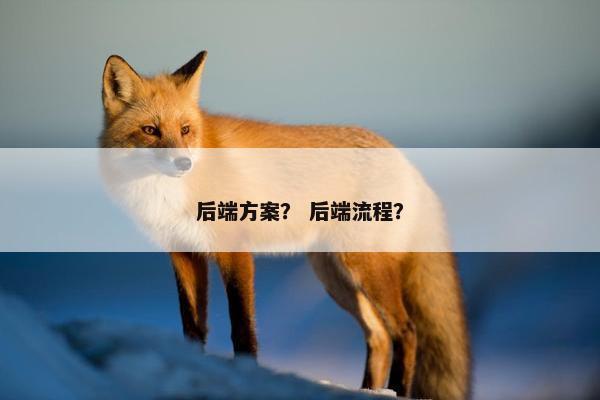 后端方案？ 后端流程？