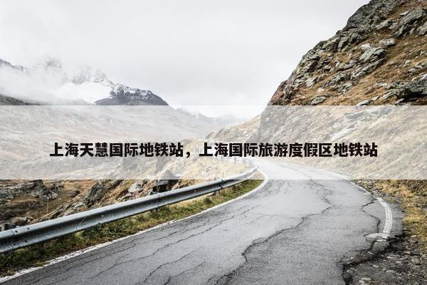 上海天慧国际地铁站，上海国际旅游度假区地铁站