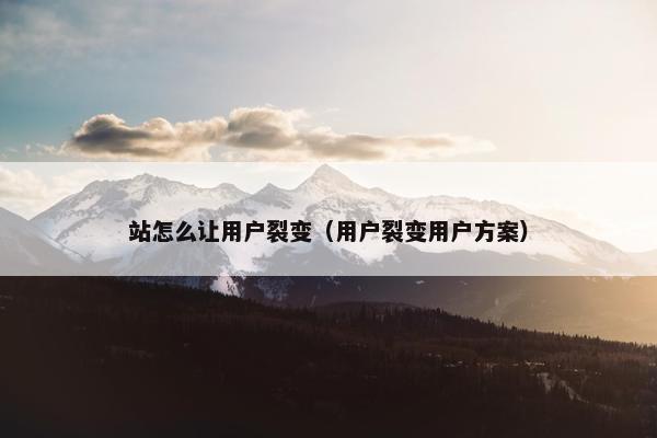 站怎么让用户裂变（用户裂变用户方案）