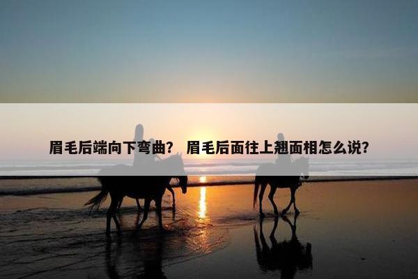 眉毛后端向下弯曲？ 眉毛后面往上翘面相怎么说？