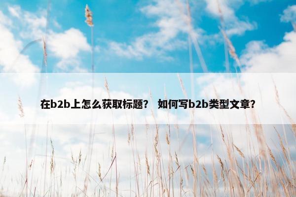在b2b上怎么获取标题？ 如何写b2b类型文章？