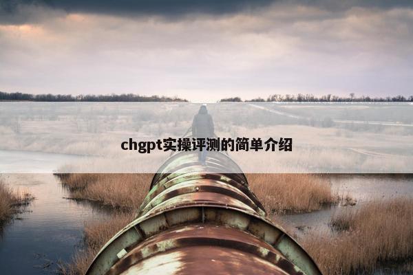 chgpt实操评测的简单介绍