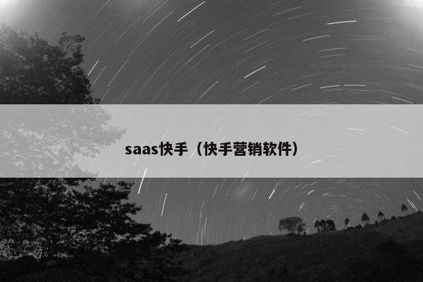 saas快手（快手营销软件）